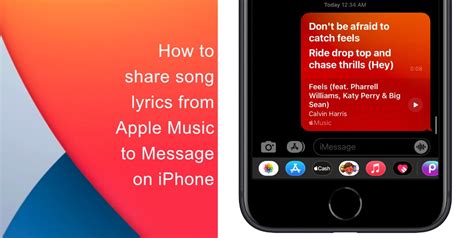 how to share lyrics on apple music - do you know the best ways to embed lyrics in your songs?